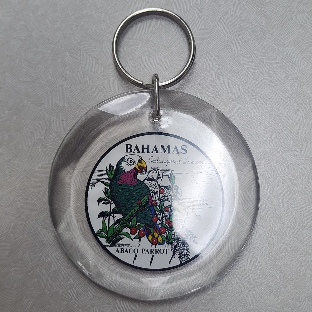 VTG Bahamas Key Chain Acrylic Abaco Parrot Endangered Species Key Ring